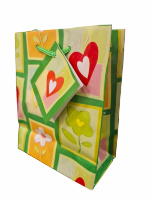 Bolsa Regalo Fantasia C/Cordon 12 X 15 Plastificada
