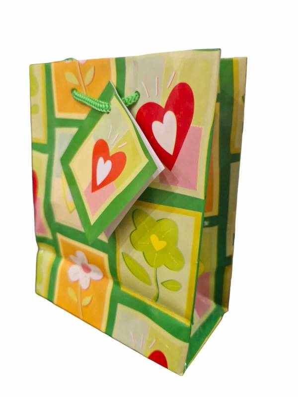 Bolsa Regalo Fantasia C/Cordon 12 X 15 Plastificada