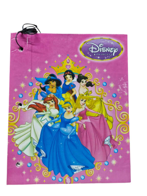 Carpeta Economica C/Cordon N°3 Cartone Princesas