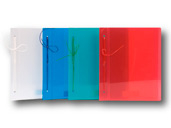 Carpeta C/Cordon N°3 Rideo Poliprop Lisa Line  2103