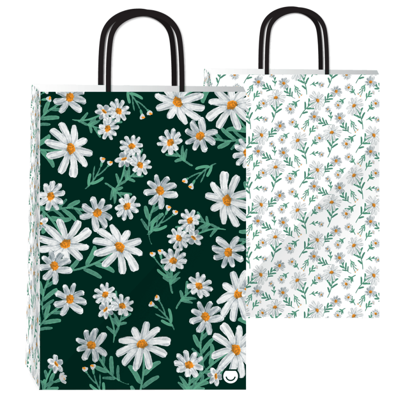 Bolsa P/Regalo Romipack Dassies 22X30
