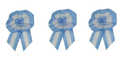 Escarapela Redonda C/Cola Plancha X 24 Un