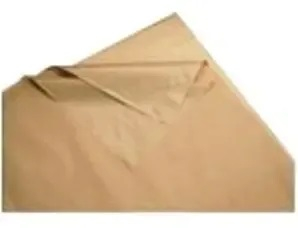 Papel Molde (150X100) X 10 Unid