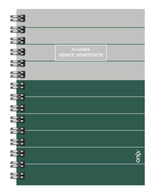 Agenda Onix 2027 C/Esp Planner 1 Verde/Gris 16X22 Diaria Td 320 P Ag27A003