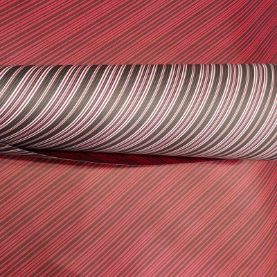 Cartulina Divertida Rayas Diagonales Rojo/Negro Paq X 10 U