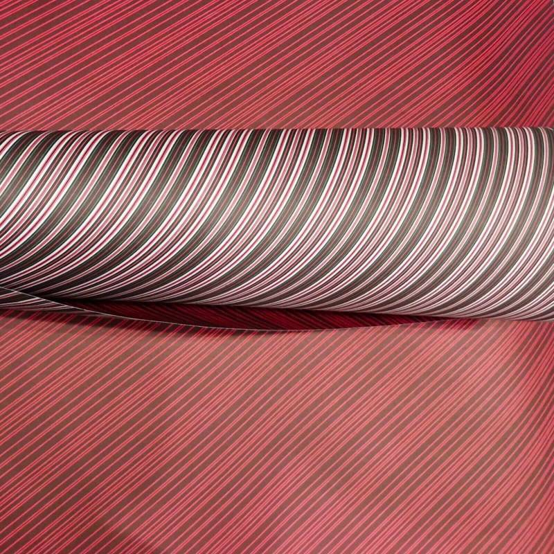 Cartulina Divertida Rayas Diagonales Rojo/Negro Paq X 10 U
