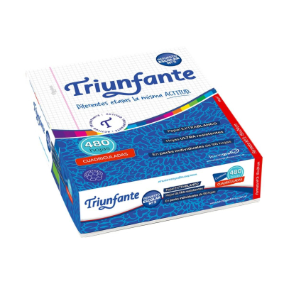 Repuesto Triunfante N°3 X 480 Hjs Cuadriculado