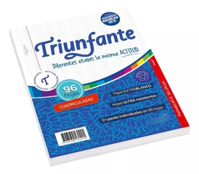 Repuesto Triunfante N°3 X 96 Hjs Cuadriculado