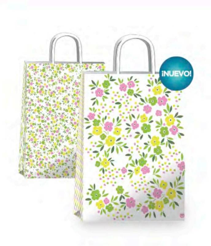 Bolsa P/Regalo Romipack Nala 22X30