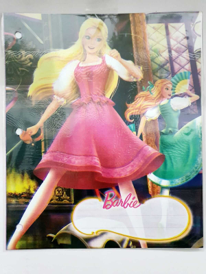 Separador De Materias Vs Economico 6 Hjs Barbie