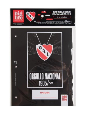 Separador De Materias Escolar X 6 Hjs Big Life Independiente