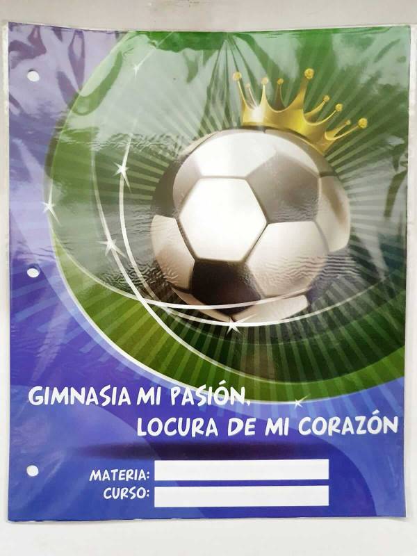 Separador De Materias Vs Economico 6 Hjs Gimnasia Lp