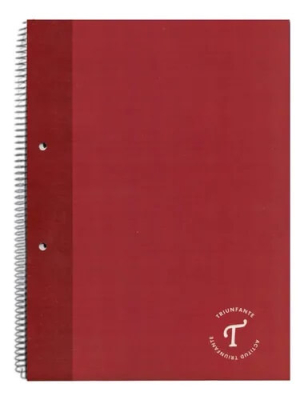 Cuaderno Triunfante Divididos 29.7 C/Esp X 80 Hjs Cuadriculado
